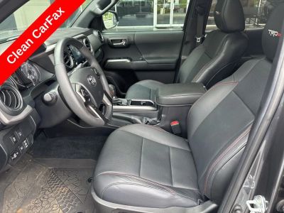 2023 Toyota Tacoma - Photo 4