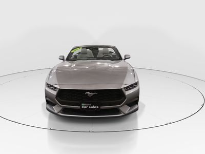 2024 Ford Mustang - Photo 2