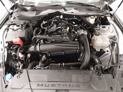 2024 Ford Mustang - Photo 9