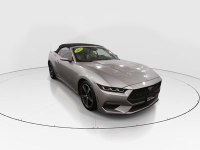 2024 Ford Mustang - Photo 1