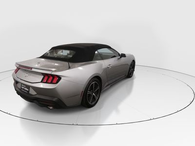 2024 Ford Mustang - Photo 7
