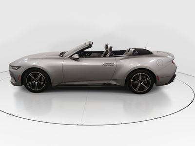 2024 Ford Mustang - Photo 4