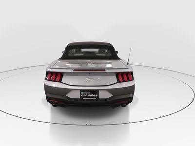 2024 Ford Mustang - Photo 6