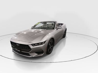 2024 Ford Mustang - Photo 3