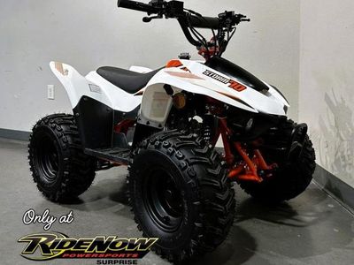 2025 Kayo Fox / Storm 70 - Photo 4
