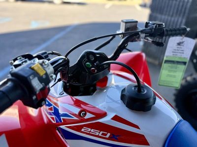 2026 Honda TRX250X - Photo 3