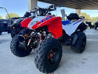 2026 Honda TRX250X - Photo 1