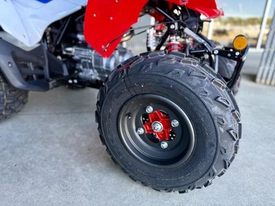2026 Honda TRX250X - Photo 7