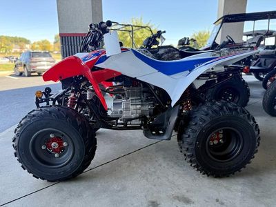 2026 Honda TRX250X - Photo 6