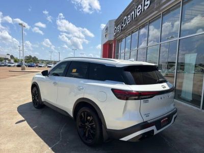 2023 INFINITI QX60 - Photo 2