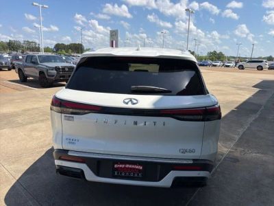 2023 INFINITI QX60 - Photo 3