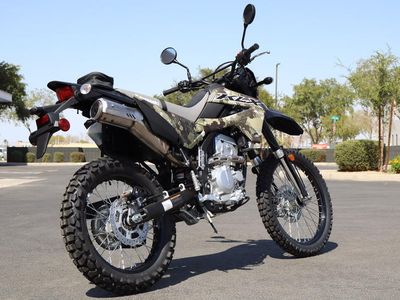 2026 Kawasaki KLX300 Cypher Camo Beige - Photo 5