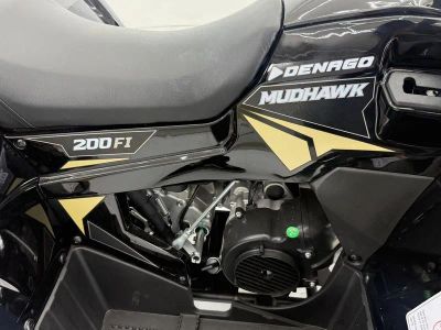 2026 Denago Powersports Mudhawk 200 FI - Photo 14