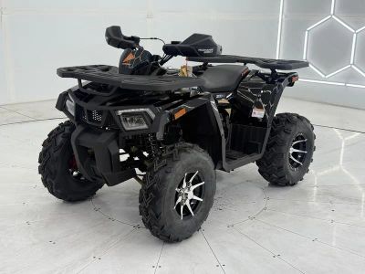 2026 Denago Powersports Mudhawk 200 FI - Photo 4