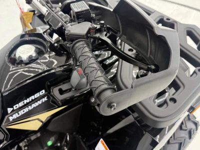 2026 Denago Powersports Mudhawk 200 FI - Photo 10