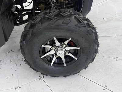 2026 Denago Powersports Mudhawk 200 FI - Photo 18