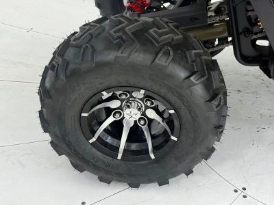 2026 Denago Powersports Mudhawk 200 FI - Photo 17