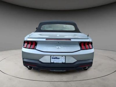2024 Ford Mustang — detail view