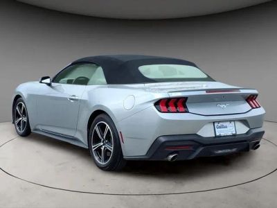 2024 Ford Mustang — side profile view