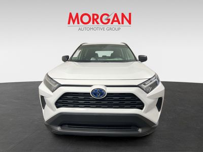 2024 Toyota RAV4 - Photo 3