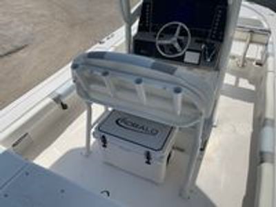 2025 Robalo 246 Cayman - Photo 9