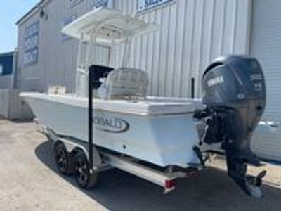 2025 Robalo 246 Cayman - Photo 4