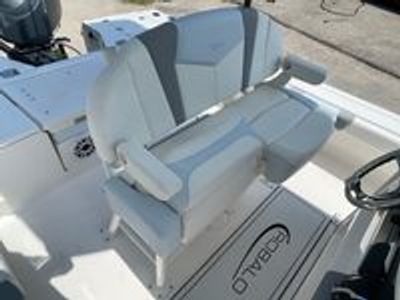 2025 Robalo 246 Cayman - Photo 19