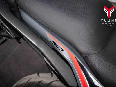 2024 Kawasaki Versys 650 LT ABS - Photo 4