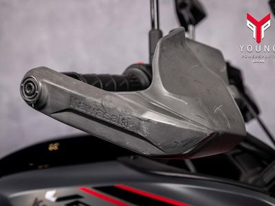 2024 Kawasaki Versys 650 LT ABS - Photo 11