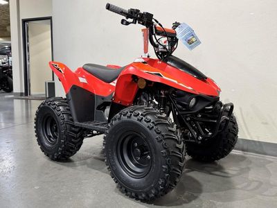 2026 Kayo Fox / Storm 70 - Photo 2