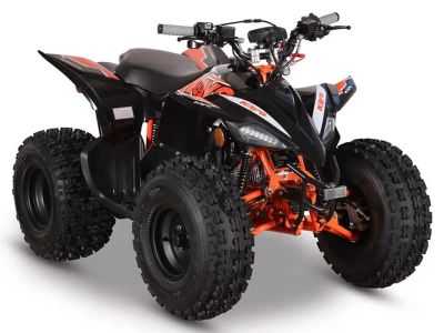 2026 Kayo Predator 125 EFI - Photo 3