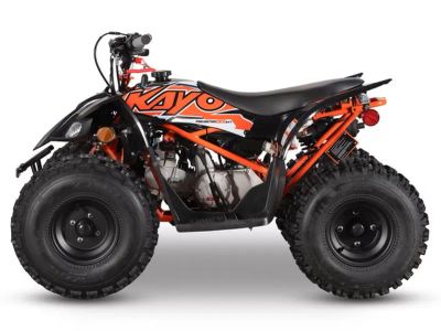 2026 Kayo Predator 125 EFI - Photo 2