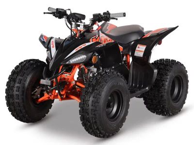 2026 Kayo Predator 125 EFI - Photo 4