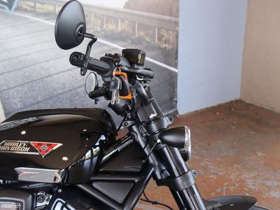 2025 Harley-Davidson RH1250S - Sportster S - Photo 12