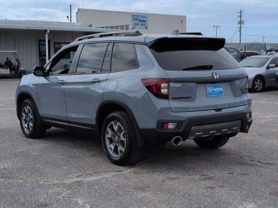 2023 Honda Passport — rear three-quarter view