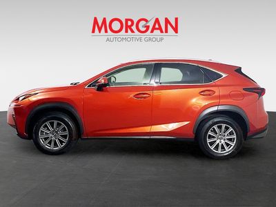 2020 Lexus NX - Photo 4