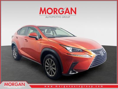 2020 Lexus NX - Photo 1