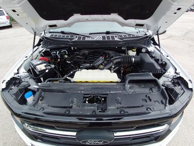 2024 Ford F-150 — photo 9 view