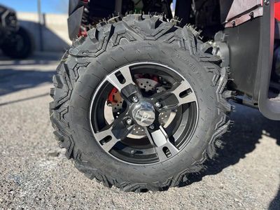 2026 Denago Powersports Freelander 300 FI - Photo 9