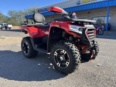 2026 Denago Powersports Freelander 300 FI - Photo 1