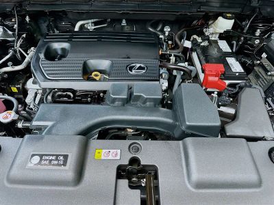 2024 Lexus NX — photo 31 view