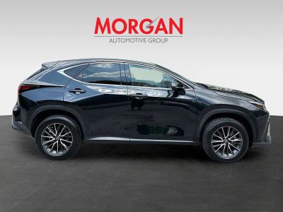 2024 Lexus NX — photo 8 view