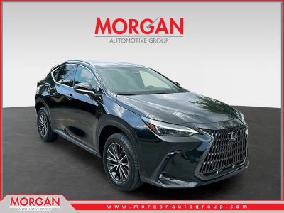 2024 Lexus NX 250 Base in Black — front three-quarter view
