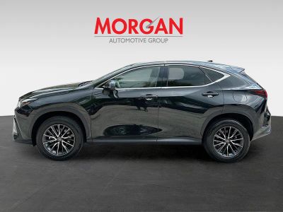 2024 Lexus NX — interior view