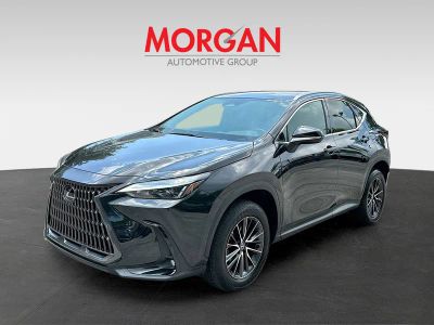 2024 Lexus NX — rear three-quarter view