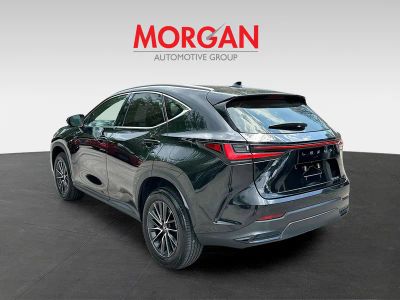2024 Lexus NX — detail view