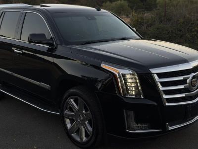 2015 Cadillac Escalade — photo 11 view