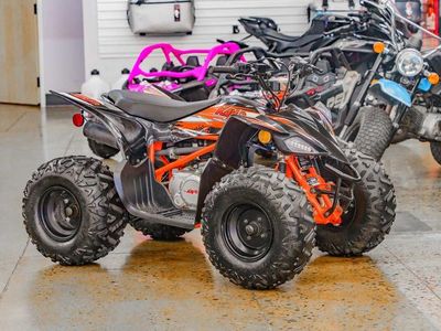 2021 Kayo 125 Predator - Photo 1