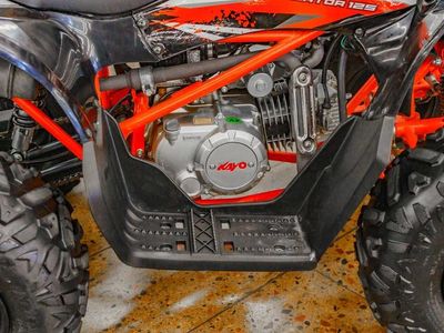 2021 Kayo 125 Predator - Photo 10