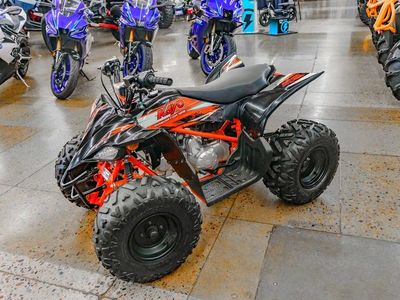 2021 Kayo 125 Predator - Photo 7